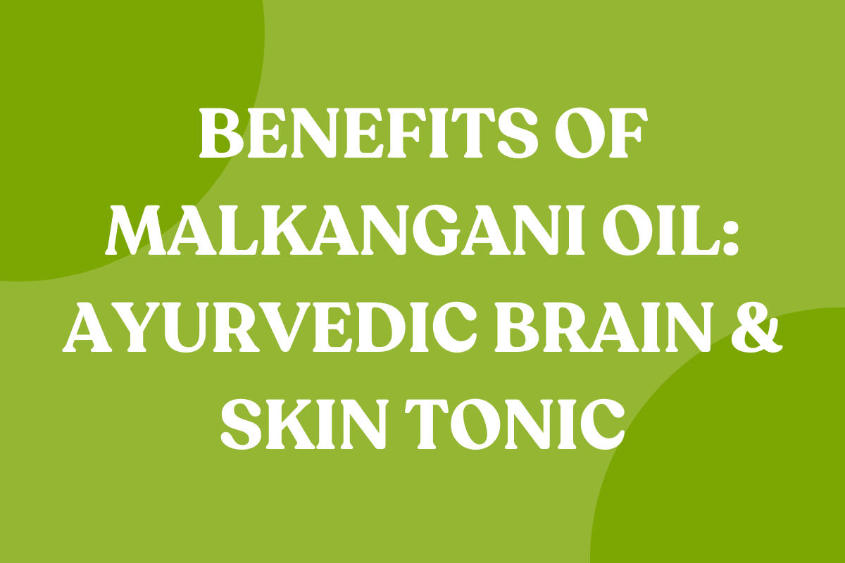 benefits of Malkangani oil, cold pressed Malkangani oil, Malkangani oil for skin and hair, Malkangani oil for memory, oil for joint pain relief, Malkangani oil for inflammation