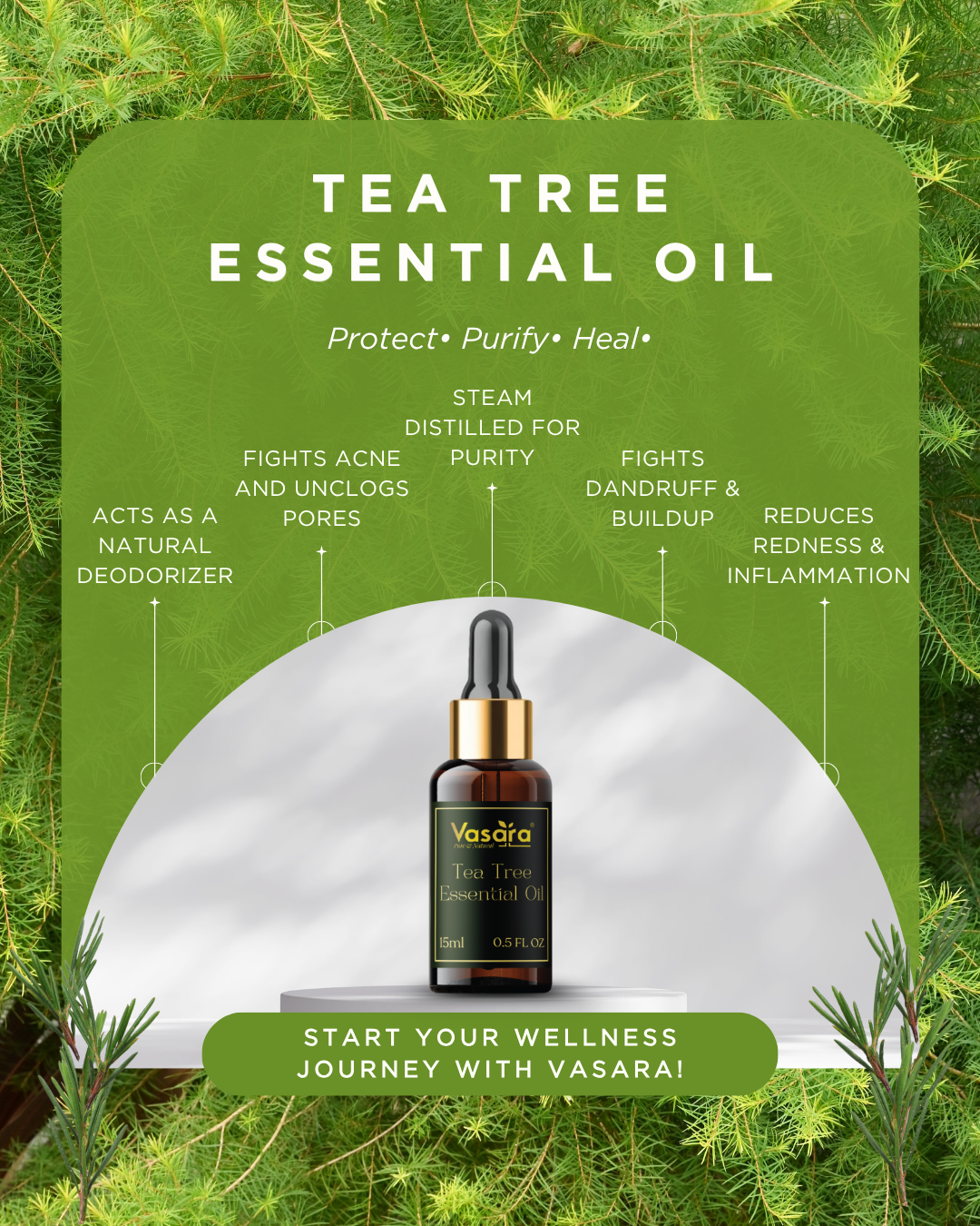 uses of tea tree essential oil, benefits of tea tree essential oil, uses of tea tree oil, benefits of tea tree oil